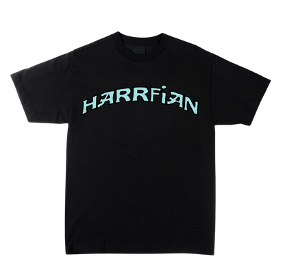 Curious Camel - Black